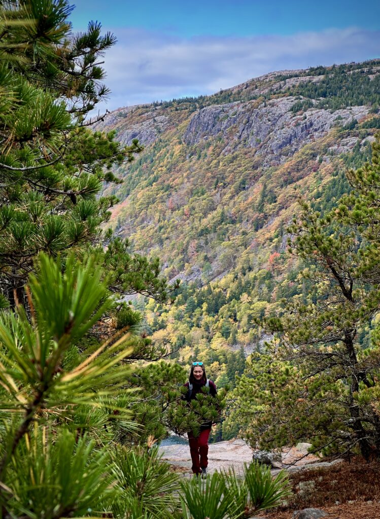 Picture of Female on a trail at Acadia National Park with Mountain covered by trees in background