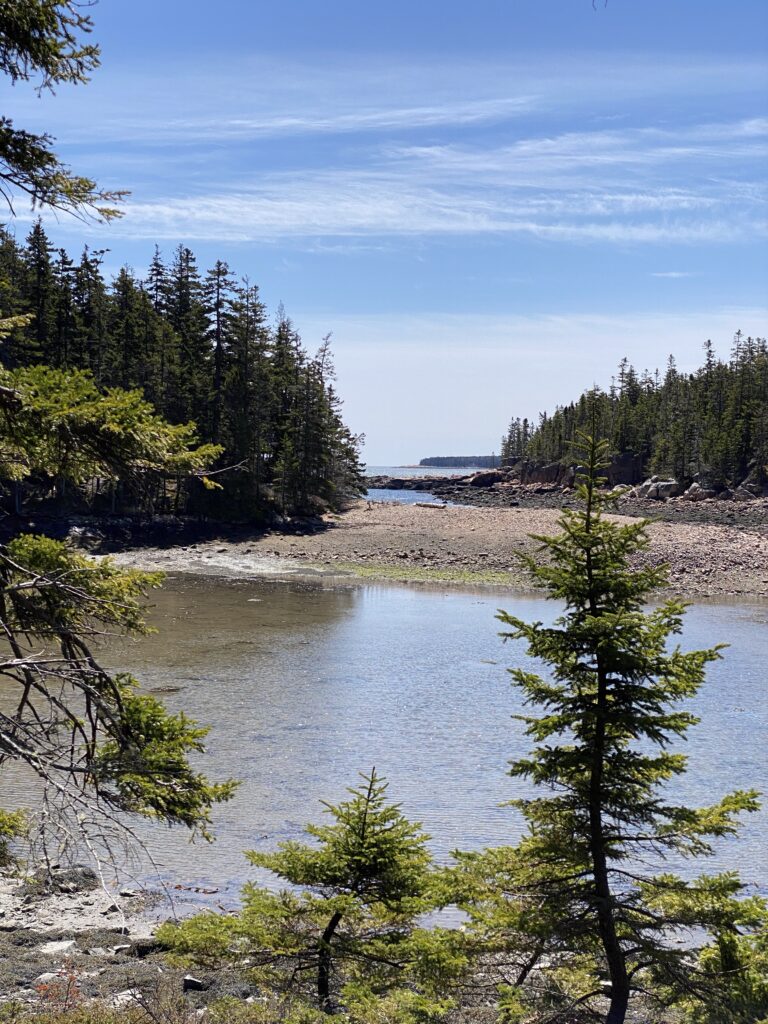 Coastal Cove with water and trees at low tide Ship Harbor Trail