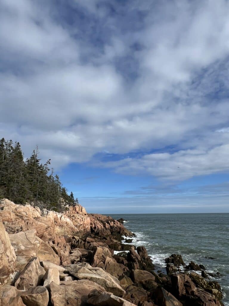 Rocky cliff with evergreen trees at edge of ocean at Acadia National Park