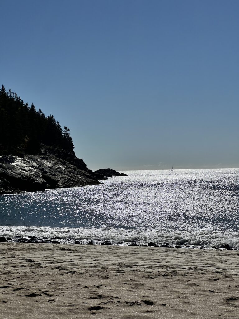 Picture of Ocean and rocky forested coastline on Sand Beach at Acadia National Park