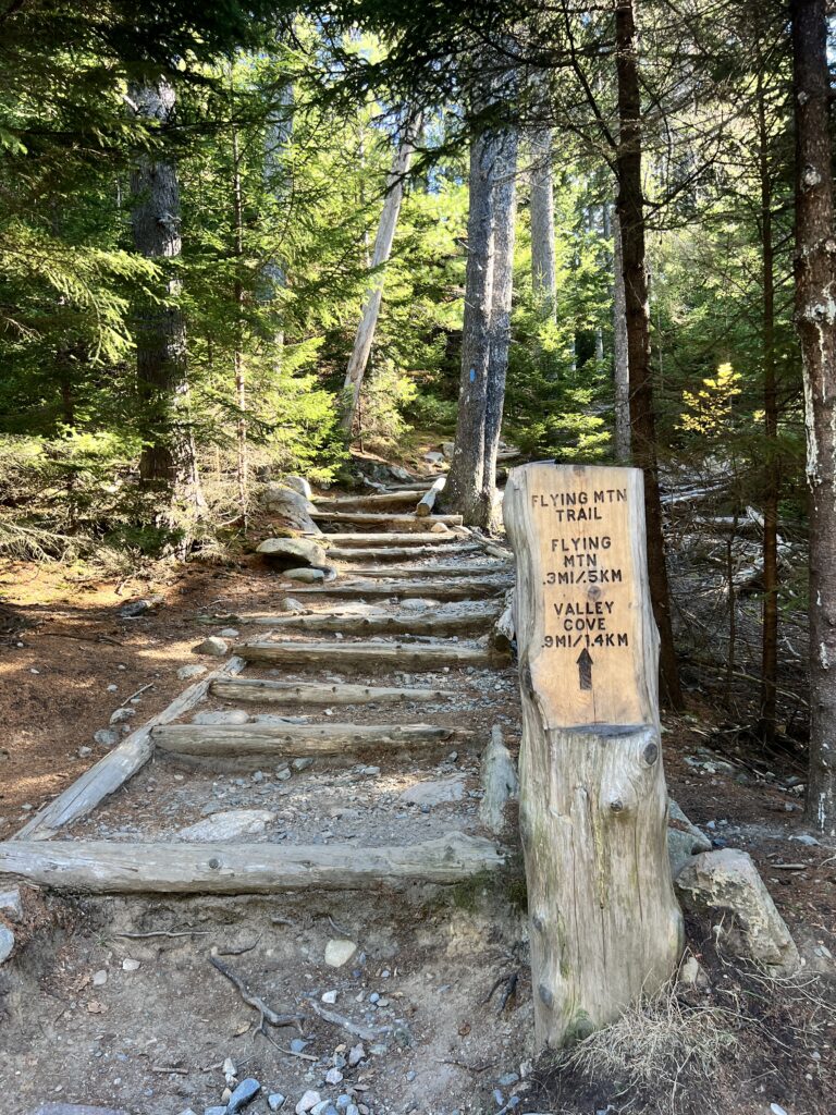 Trail post sign and wooden steps at Flying Mountain trailhead