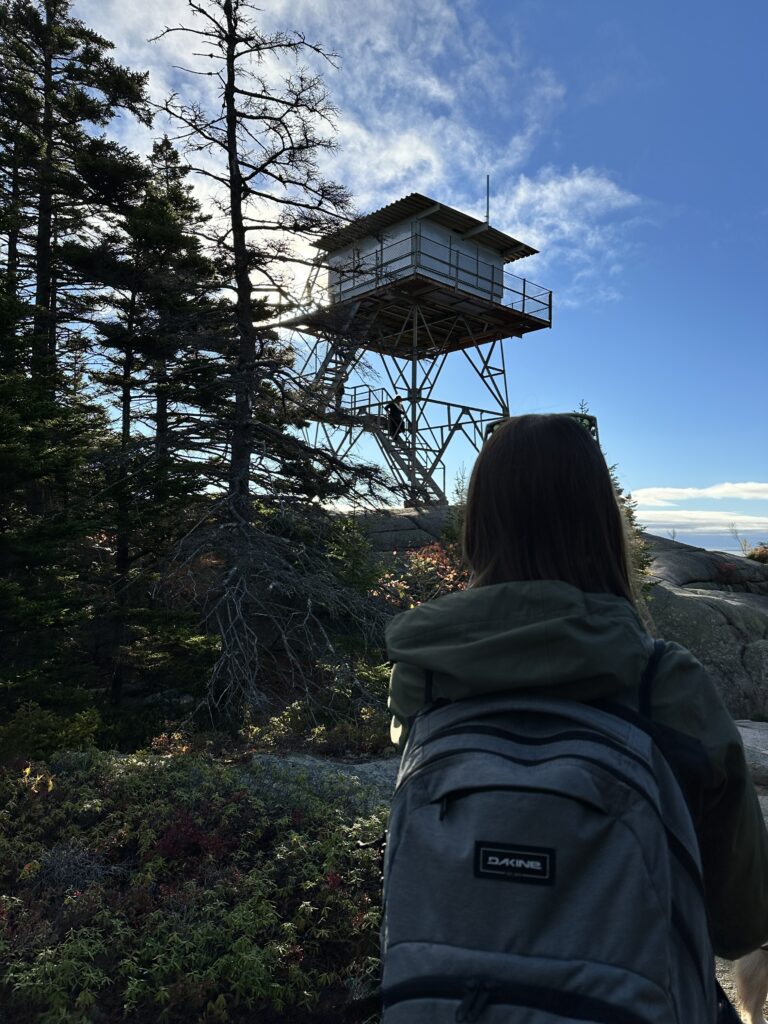 Female looking up at Beech Mountain Fire Tower at Acadia National Park