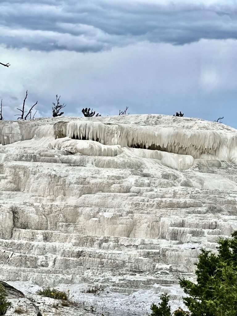 picture of travertine terraces Yellowstone national park