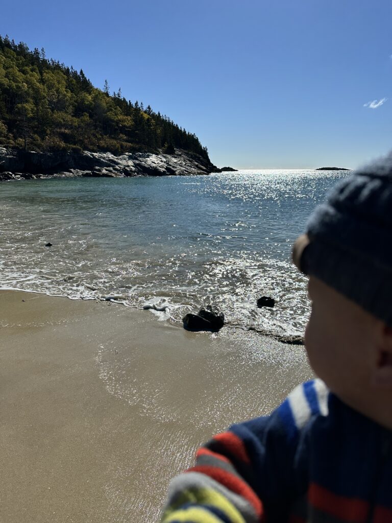 Shore of Sand Beach with rocky coastline in background at Acadia National Park