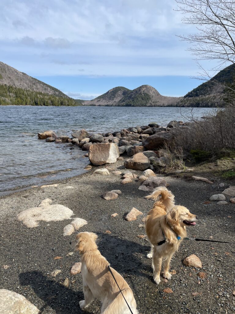View of bubble mountains from Jordan Pond