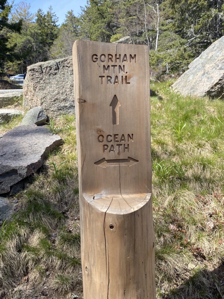 Picture of sign post for Gorham mountain trail and ocean path one of the most popular hikes and one that is featured in my 3 day dog friendly Acadia national park itinerary