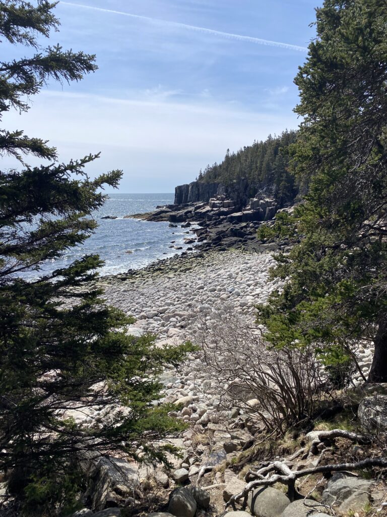 View of rocky coastline with trees from Ocean Path at Acadia National Park