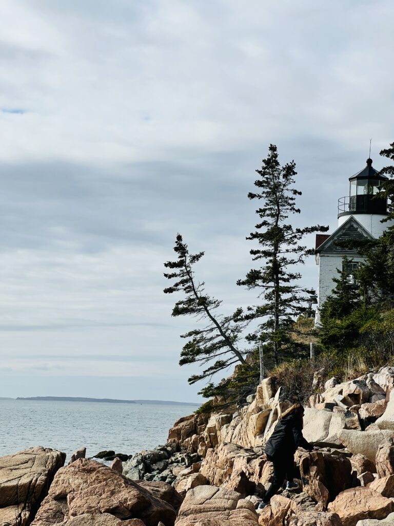 Bass Harbor Head Light house on rocky shoreline of Acadia National Park