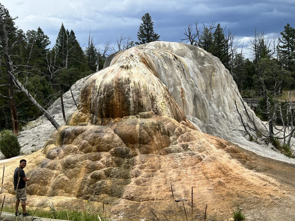 spring at mammoth hot spring area of yellowstone