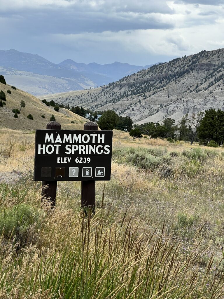 Mammoth Hot Springs wooden sign in field of grass at Yellowstone