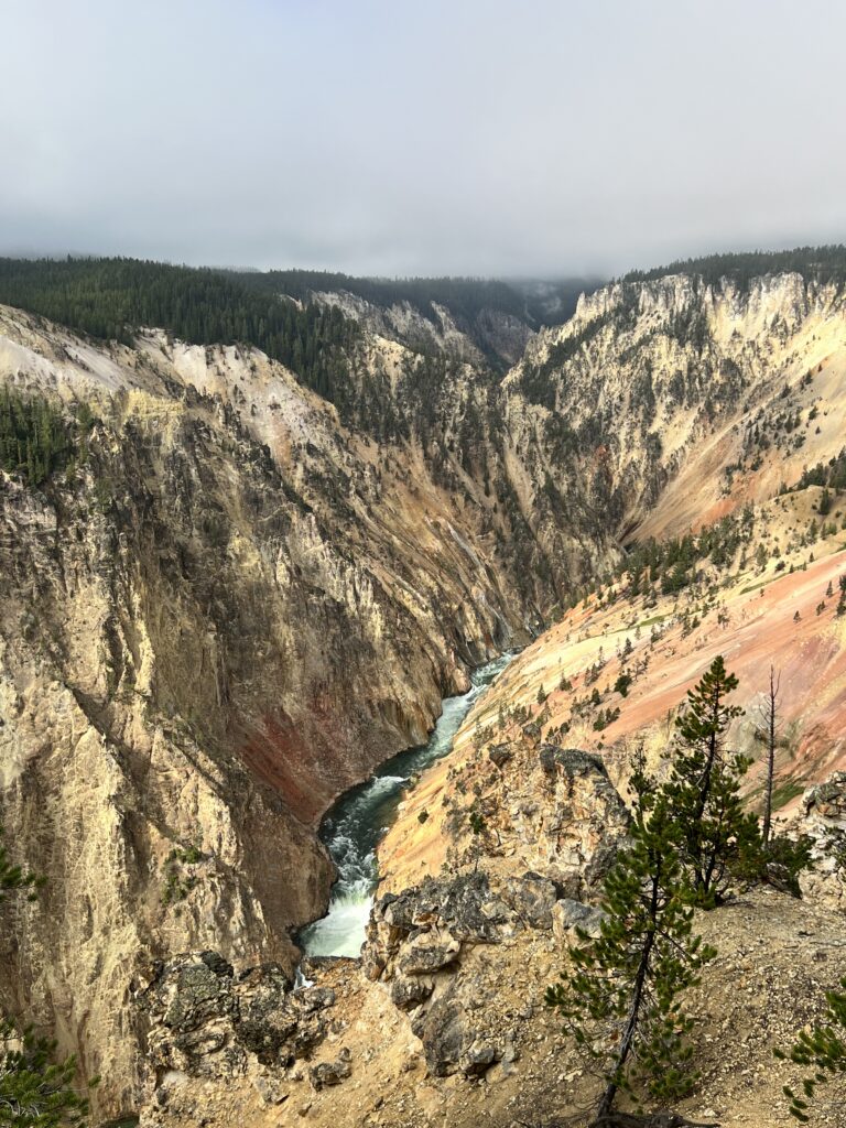 Grand Canyon at Yellowstone National Park