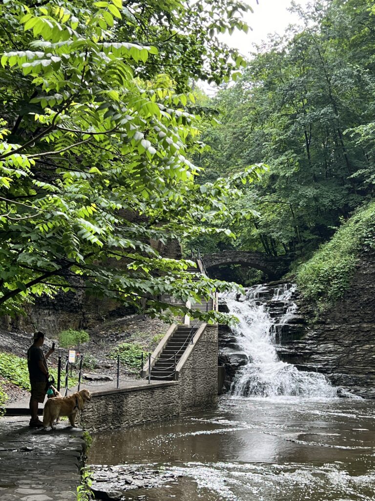 Male standing on path with stairs next to waterfall flowing through a gorge