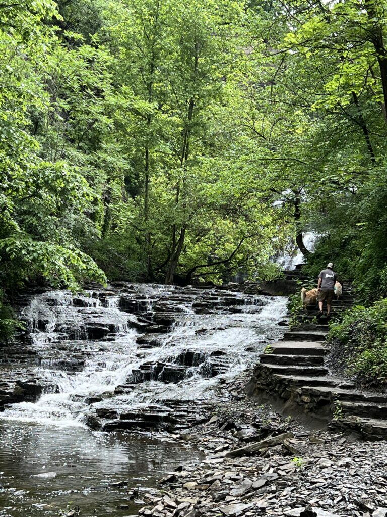 male and dog going up steps along gorge with flowing water